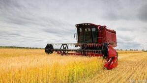 ȫ��ת����������ֲ�����������