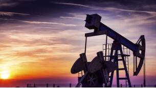 ���й�˾���걨͸¶Ͷ��·�� �籣��������������Ϣ��ҵ