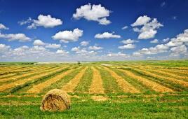 �����ش��������� ������չ���������������