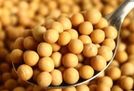 �󶹱�������Լ5%����������ũ��Ʒ�ڻ�