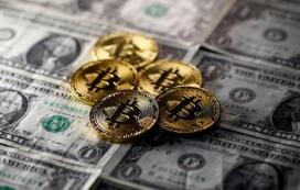 �����������У�Ԥ������2020�꾭�����ٽ��Ż���1.3% 