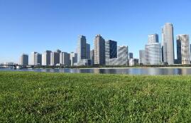 �����췢��2019��37��  ��������������칫������ӡ���й����������ó�����������·�չ�ж�������֪ͨ