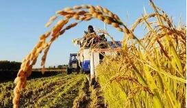 С���ڻ���������ũ��Ʒ�г���Ͷ���߿��ú�������