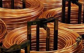 ������ԭ�͡���̿�����ơ���������ɴ����1%