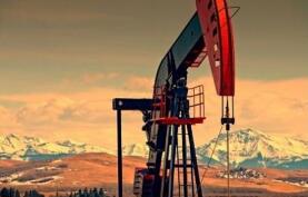 ɽ��48�ҵ�����ҵ���ﻮ���� ��׵�����ҵ������300��