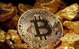 ���ڷ������Ϻ�֤ȯ��������Ա��������2019���޶�������֪ͨ