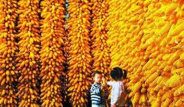 �����������չ������������£��������н��ӳ�