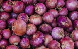 ��Ӧ���ز��㣬�ϼ�������м۸���ǽ�9��