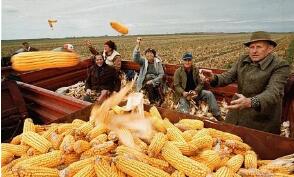 С����������ũ��Ʒ�ڻ��������ڿ�ͷ�ز�������С�������»�