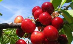 ����ӣ�ҳ�����������ʷ�¸� ���ų������й�