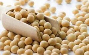 ����������������6ֻ��Ʒ�ڻ�ָ��