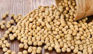 ŦԼ�ڻ�12��17�գ�CBOT1�´��ڻ�����0.62%  2���������ڻ��µ�1.21%