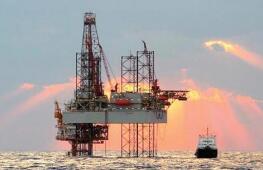 ŦԼԭ���ڻ��۸�12��19������0.48��  ������ԭ������37����