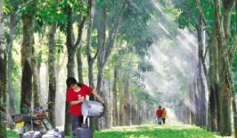 �����������������𽺾�ǩ����������¼