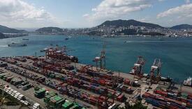 ����12��1-20�ճ���ͬ���»�2%��оƬ�����»�16.7%