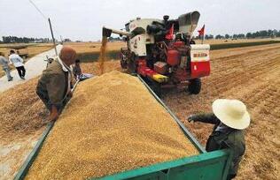 12��26��С���ǳ�1% ��������ũ��Ʒ�ڻ�