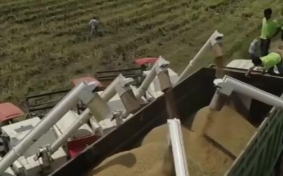 ����կ2019��Ի����׳��ڴ��¸�