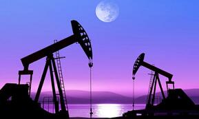 ŦԼ�ͼ�6������  ���������ÿͰ68.91��Ԫ