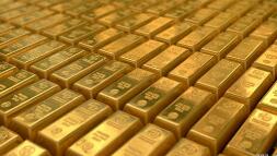 ������磺2019�����ҵ��Ԥ�棬������ͬ���½�