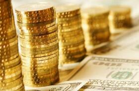 ���Ž�Ͷ���ɶ����ֹɷݽ��