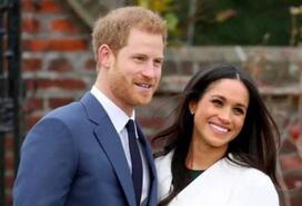 Ӣ������ͬ�������˳���ְ