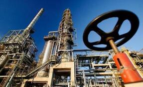 ������ʯ��Σ�� ԭ�ͼ۸�1��21���µ�20����