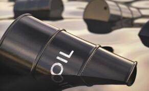 ԭ���ڻ��۸�1��28��С������0.6��  ��������13����