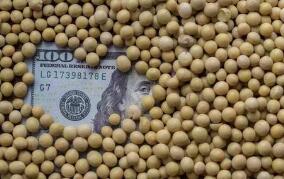 CBOT��ʵ�������� ��������������ߵ�