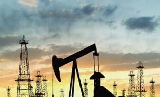 ���ڣ�2019��ȫ������������������