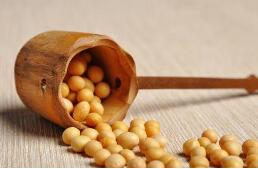 ֥�Ӹ��ڻ����������ס�С��ʹ��ڼ�12��ȫ������