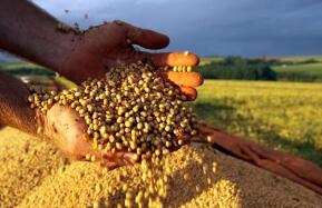 ֥�Ӹ��ڻ����������ס�С��ʹ��ڼ�14��ȫ���յ�