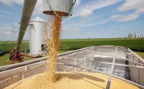 CBOTũ��Ʒ�ڼ�ȫ���յ� ���ڼ۽���������