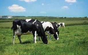 ������ũͬ����4.25����Ԫ�չ���������ţ�������̵϶���Dean��