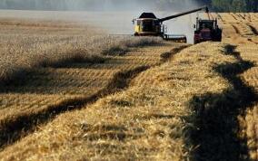 ֥�Ӹ��ڻ����������ס�С��ʹ��ڼ�19���ǵ���һ