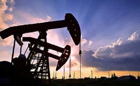 �������𹫸�2020���32�ţ����ڽ��������������������Ҫ��Ĺ��棩