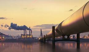 �������� ũҵũ�岿����2020���31�ţ����ڷ�ֹ˹�工�ˡ����������¹����ڿ������²��������д����ҹ��Ĺ��棩