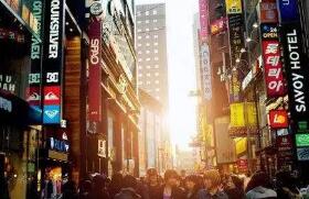 �����ϵ���������Ԥ�����鱾��������Ʒú�