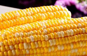 ֥�Ӹ��ڻ����������ס�С��ʹ��ڼ�4���ǵ���һ