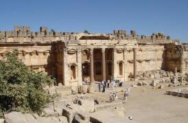 �����5�������20�������ʲ�