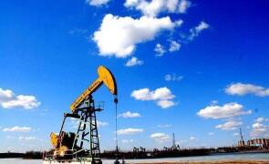 ���ɹ�ָ�ڻ��յ�������ԭ�͵�������