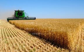 ֥�Ӹ��ڻ����������ס�С��ʹ��ڼ�20���ǵ���һ