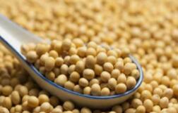 ����������2020��127�Ź��ڵ����ƴ�1�ŵ�Ʒ���ڻ���Լ�ǵ�ͣ����Ⱥͽ��ױ�֤��ˮƽ��֪ͨ