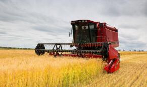 ֥�Ӹ��ڻ����������ס�С��ʹ��ڼ�31���ǵ���һ