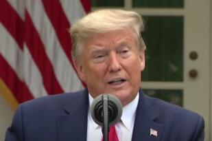 ������������������ͣ��������������֯