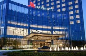 ����Ƶ�����15����Ԫ���Ŵ����