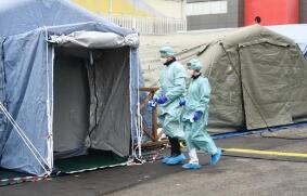 �����COVID-19ÿ������������4��12��������͵�