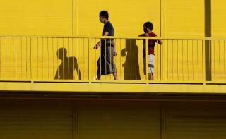 �¼��±�����931������Covid-19����