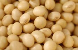 ֥�Ӹ��ڻ����������ס�С��ʹ��ڼ�7��ȫ������