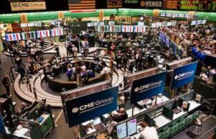 ֥�Ӹ���Ȩ�������ƻ�6��8�����¿���֥�Ӹ罻�״���