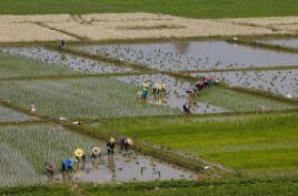 ȫ��ڶ����׳��ڹ�̩�� ����ǰ�ĸ��³�������ͬ���½�32.1%